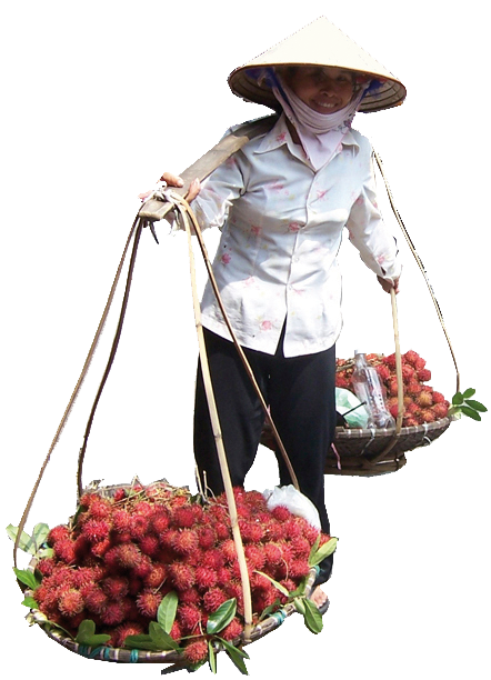 paysanne vietnamienne Hanoi